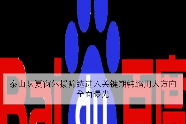 泰山队夏窗外援筛选进入关键期韩鹏用人方向全面曝光